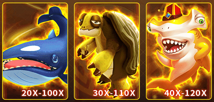 螢幕擷取畫面 2025-02-09 204832.png