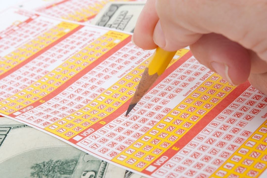 你是哪種報號風格？做測驗找出適合你的選號方式！